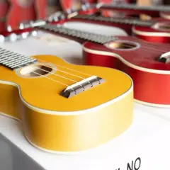 Ile kosztuje ukulele? Kompletny przegląd cen i kosztów dodatkowych 2025