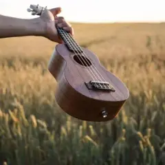 Gdzie kupić ukulele? 5 najlepszych sklepów w Polsce - ranking i opinie