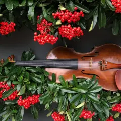 Wszystko co musisz wiedzieć zanim rozpoznasz stare skrzypce - poradnik eksperta