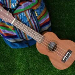Guitalele czy ukulele – który instrument wybrać i uniknąć błędów? Porównanie dla początkujących