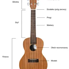 Jakie ukulele dla początkujących: wybierz najlepszy model bez błędów