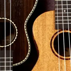 Najlepsze struny do ukulele koncertowego: 5 sprawdzonych modeli i marek