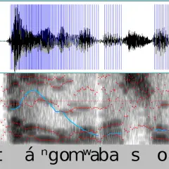 Różnorodność barw głosu ludzkiego - skala i rejestry wokalne