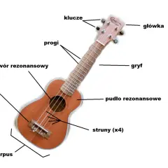 Poznaj nazwy i oznaczenia wszystkich strun w ukulele - kompletny poradnik