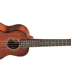 Ile naprawdę kosztuje dobre ukulele? Porównanie cen i porady dla kupujących