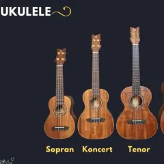 Jakie ukulele koncertowe wybrać - 5 sprawdzonych porad przed zakupem