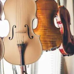 Poznaj tajniki zawodu lutnika - kto robi skrzypce i jak powstają instrumenty
