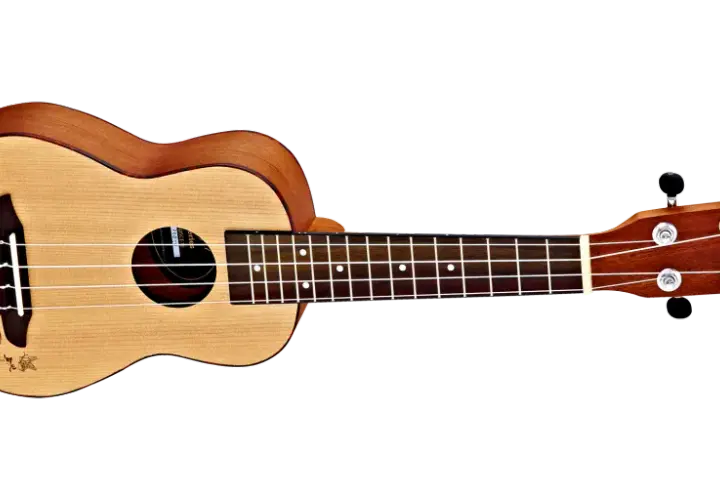 Najlepsze firmy ukulele dla początkujących: przegląd popularnych marek