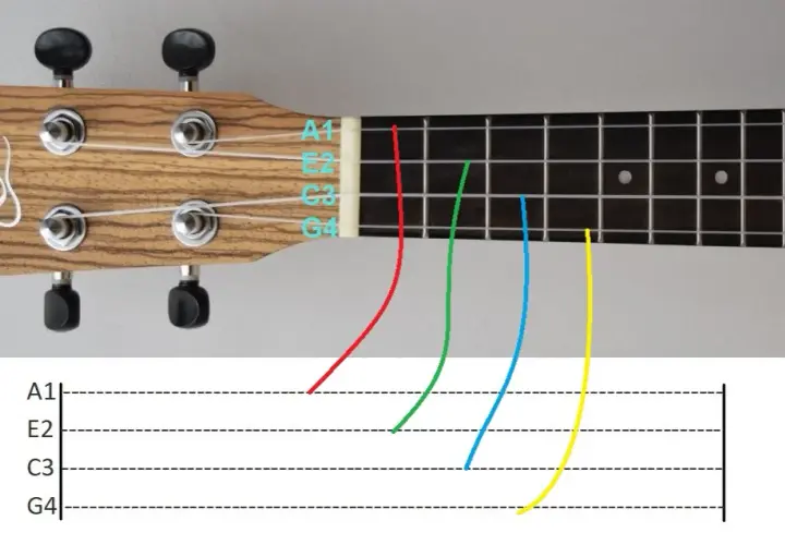 Jak czytać tabulatury ukulele - prosty sposób na szybką naukę gry