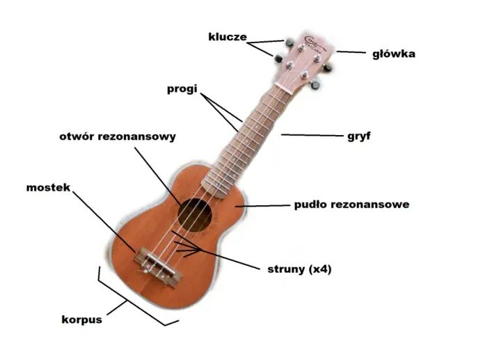 Poznaj nazwy i oznaczenia wszystkich strun w ukulele - kompletny poradnik
