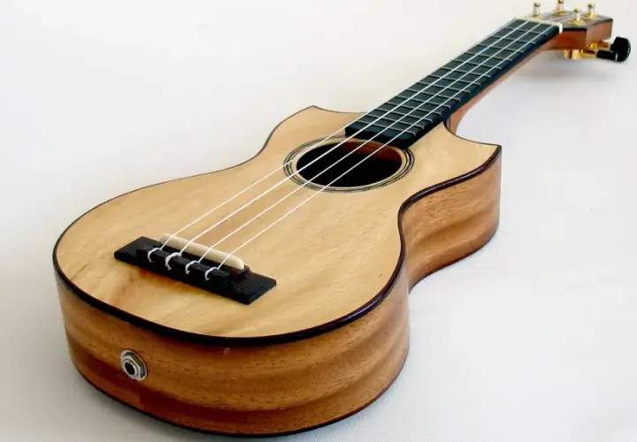 Jakie drewno na ukulele wybrać: porównanie 7 najlepszych gatunków