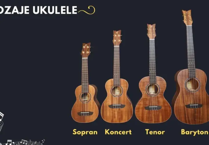 Jakie ukulele koncertowe wybrać - 5 sprawdzonych porad przed zakupem