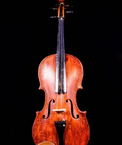 Skrzypce Stradivarius z jakiego drewna? Odkryj tajemnice ich jakości