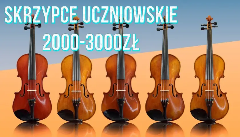Skrzypce jakie wybrać – jak uniknąć błędów przy zakupie?