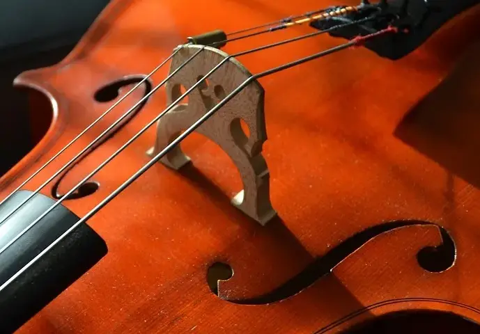 Poznaj szczegółowy opis strun w skrzypcach: budowa i strojenie instrumentu