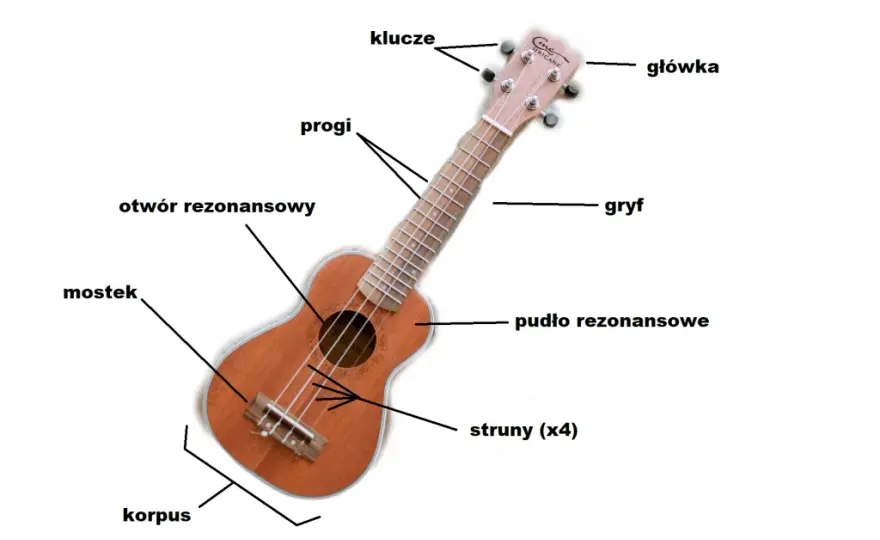 Poznaj nazwy i oznaczenia wszystkich strun w ukulele - kompletny poradnik