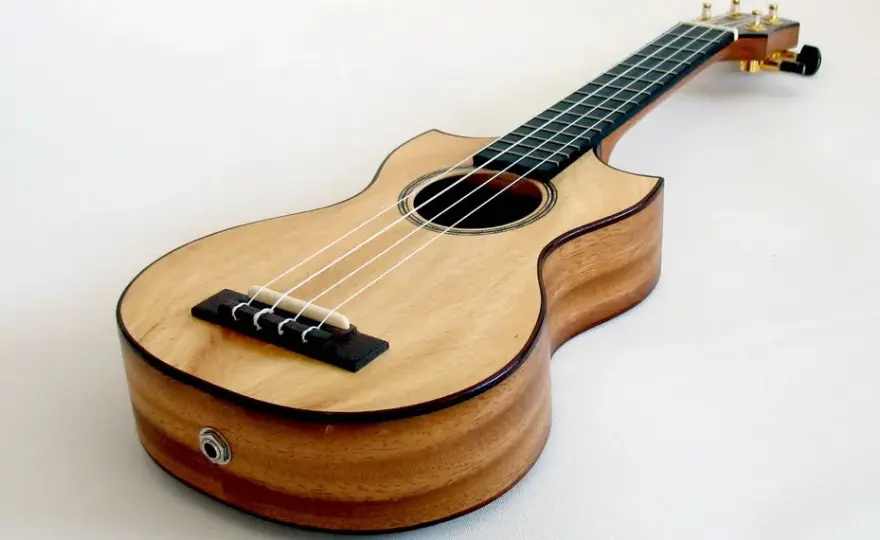 Jakie drewno na ukulele wybrać: porównanie 7 najlepszych gatunków