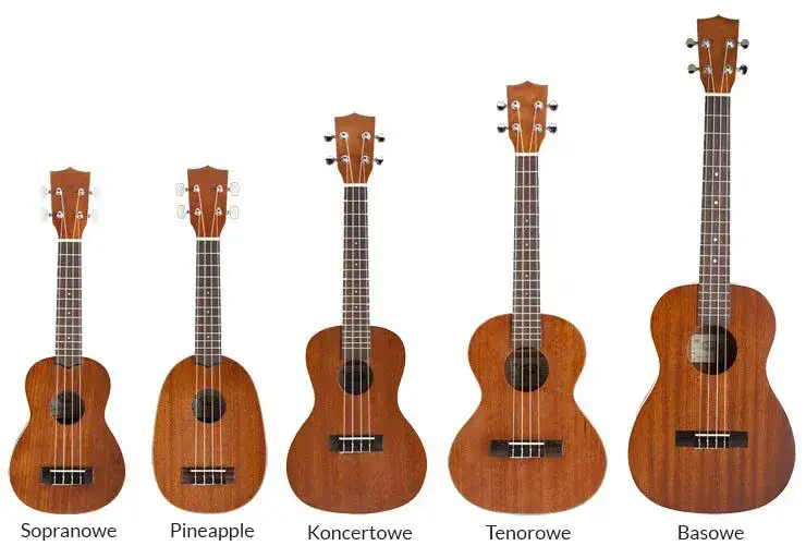 Zdjęcie Ukulele sopranowe a tenorowe: najważniejsze różnice przed zakupem